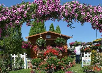 Floraart1
