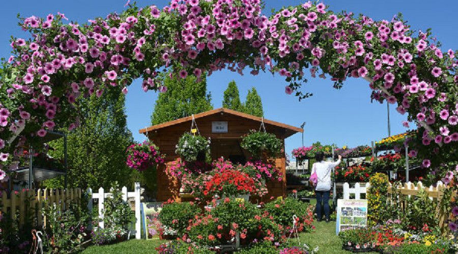 Floraart1