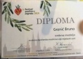 Diploma 2019